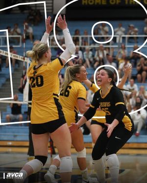 Image post by @gustieathletics on Instagram