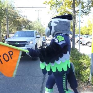 Image post by @blitztheseahawk on Instagram