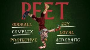 Video post by @WingfeatherSaga on Facebook