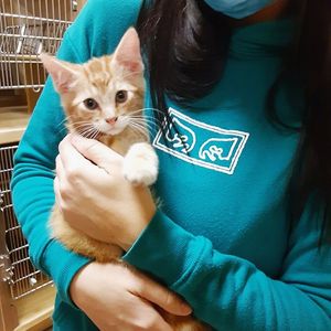Image post by @spokhumanesoc on Instagram