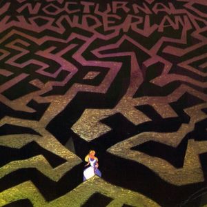 Image post by @nocturnalwland on Instagram
