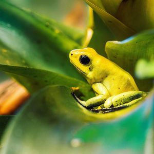 Image post by @discovery on Instagram