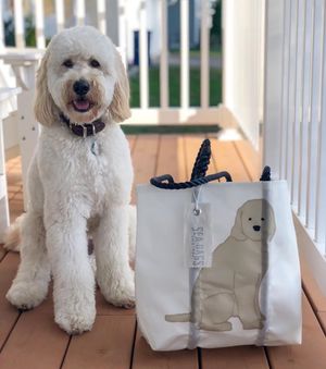 Image post by @themainemag on Instagram