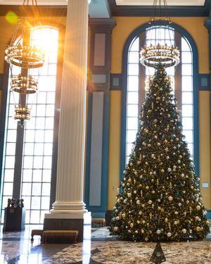 Image post by @BelmontUniv on Twitter