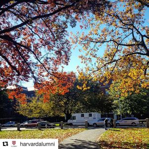 Image post by @harvardwrugby on Instagram