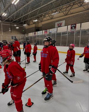 Image post by @gretzkyhockeyschool on Instagram