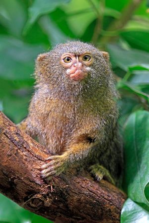 Image post by @Discovery on Twitter