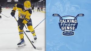 Video post by @flohockey on YouTube
