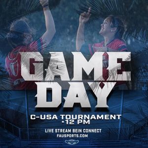 Image post by @fausoftball on Instagram