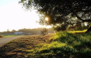 Image post by @ucscadmissions on Instagram