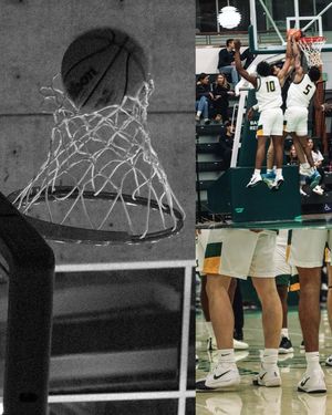 Image post by @shotbyjayci on Instagram