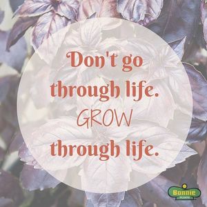Image post by @kidsgardening on Instagram