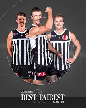 Image post by @pafc on Instagram