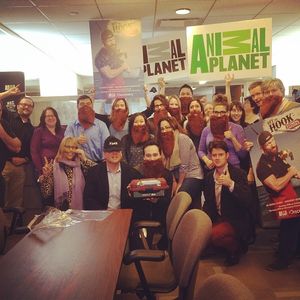Image post by @animalplanet on Instagram
