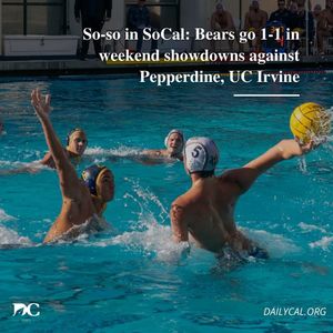 Image post by @dailycalsports on Instagram