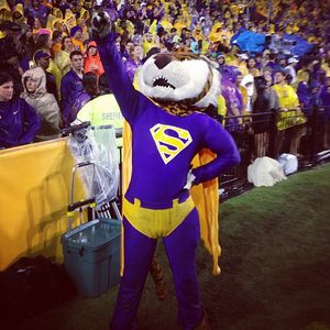 Image post by @lsumiketiger on Instagram
