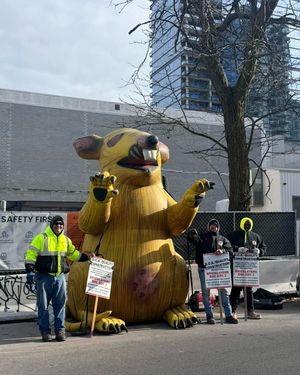 Image post by @iubac on Instagram