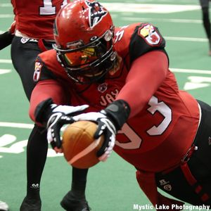 Image post by @jaxsharks on Instagram
