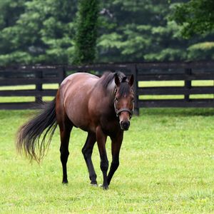 Image post by @spendthriftfarm on Instagram
