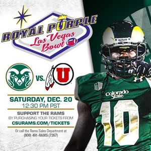 Image post by @csugoldenpoms on Instagram