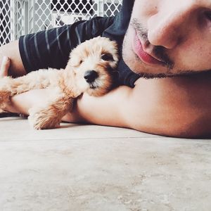 Image post by @therealcarlospena on Instagram