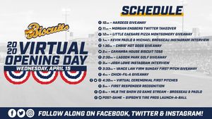 Image post by @biscuitbaseball on Instagram