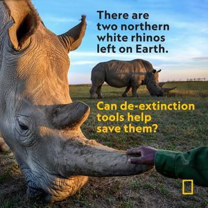 Image post by @natgeo on Instagram