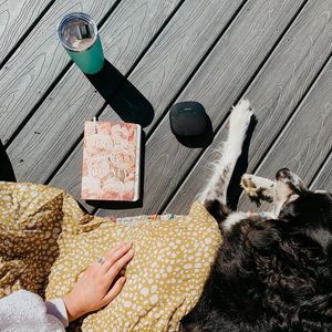 Image post by @bose on Instagram