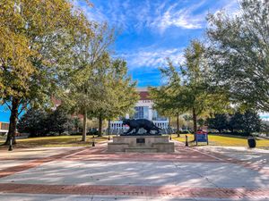 Image post by @uofsouthalabama on Instagram