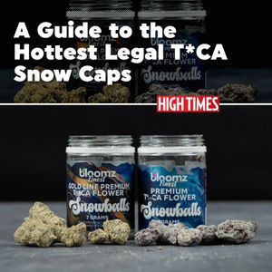 Image post by @hightimesmagazine on Instagram