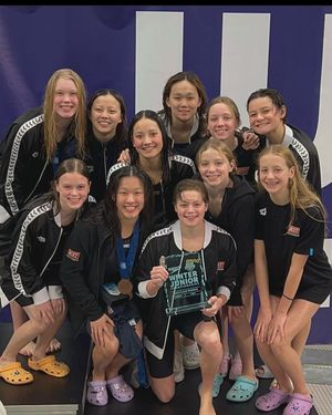 Image post by @arenausa on Instagram