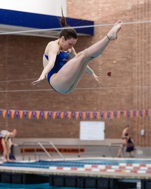 Image post by @illiniswimdive on Instagram