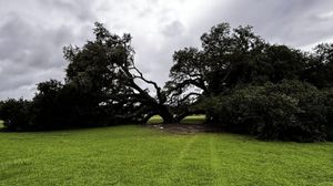 Image post by @foxweather on Instagram