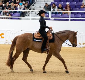 Image post by @tcuequestrian on Instagram