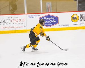 Image post by @fortheloveofthegame33 on Instagram