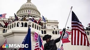 Video post by @msnbc on YouTube