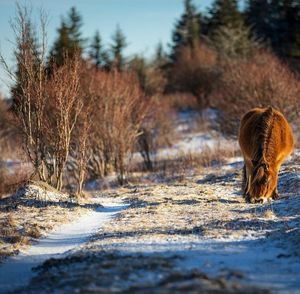 Image post by @JustinPotterPhotography on Facebook