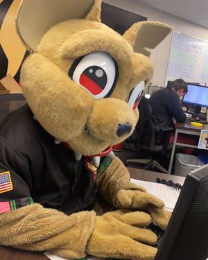 Image post by @chico_epchihuahuas on Instagram