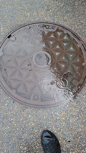 Video post by @thedisneyblog on Instagram