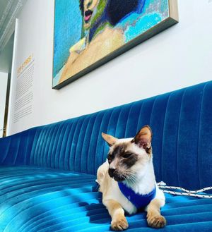 Image post by @21chotels on Instagram