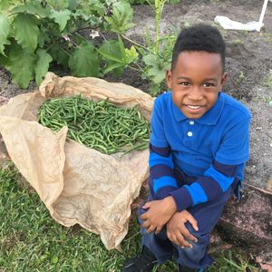 Image post by @kidsgardening on Instagram