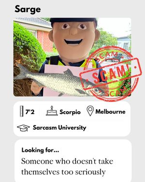 Image post by @victoriapolice on Instagram