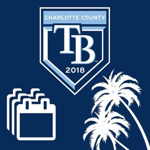 Image post by @raysbeisbol on Instagram