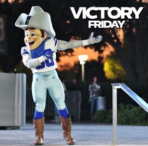 Image post by @rowdymascot on Instagram