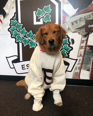 Image post by @brownu_whockey on Instagram