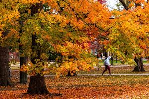 Image post by @miamiuniversity on Instagram