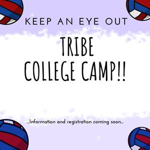 Image post by @mytribevolleyball on Instagram