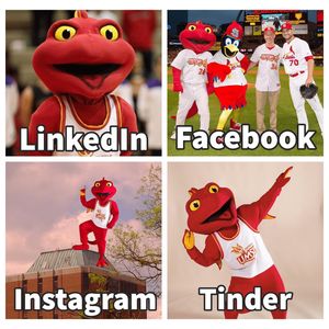Image post by @umsl on Instagram