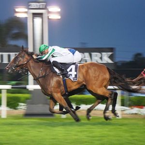 Image post by @australianturfclub on Instagram