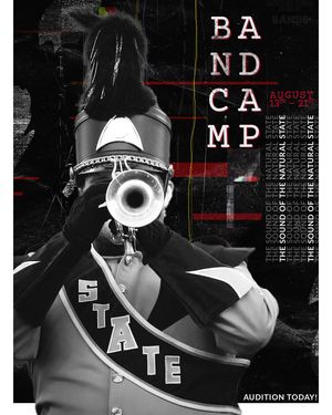 Image post by @astatebands on Instagram